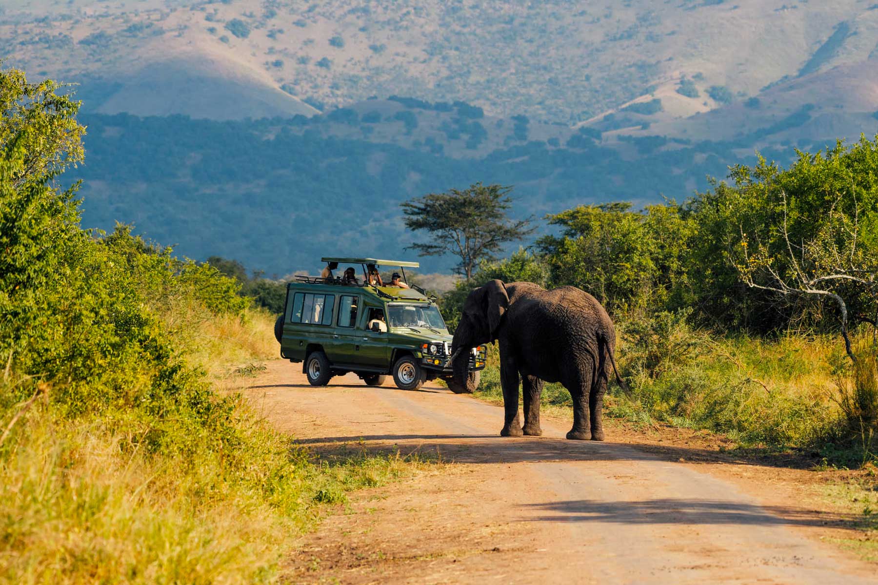 3-days-akagera-wildlife-safari