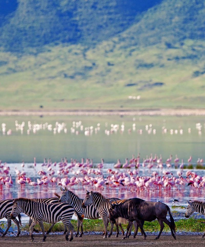 3-days-serengeti-ngorongoro-crater-safari