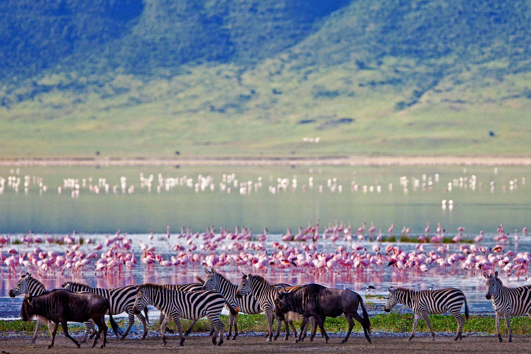 3-days-serengeti-ngorongoro-crater-safari