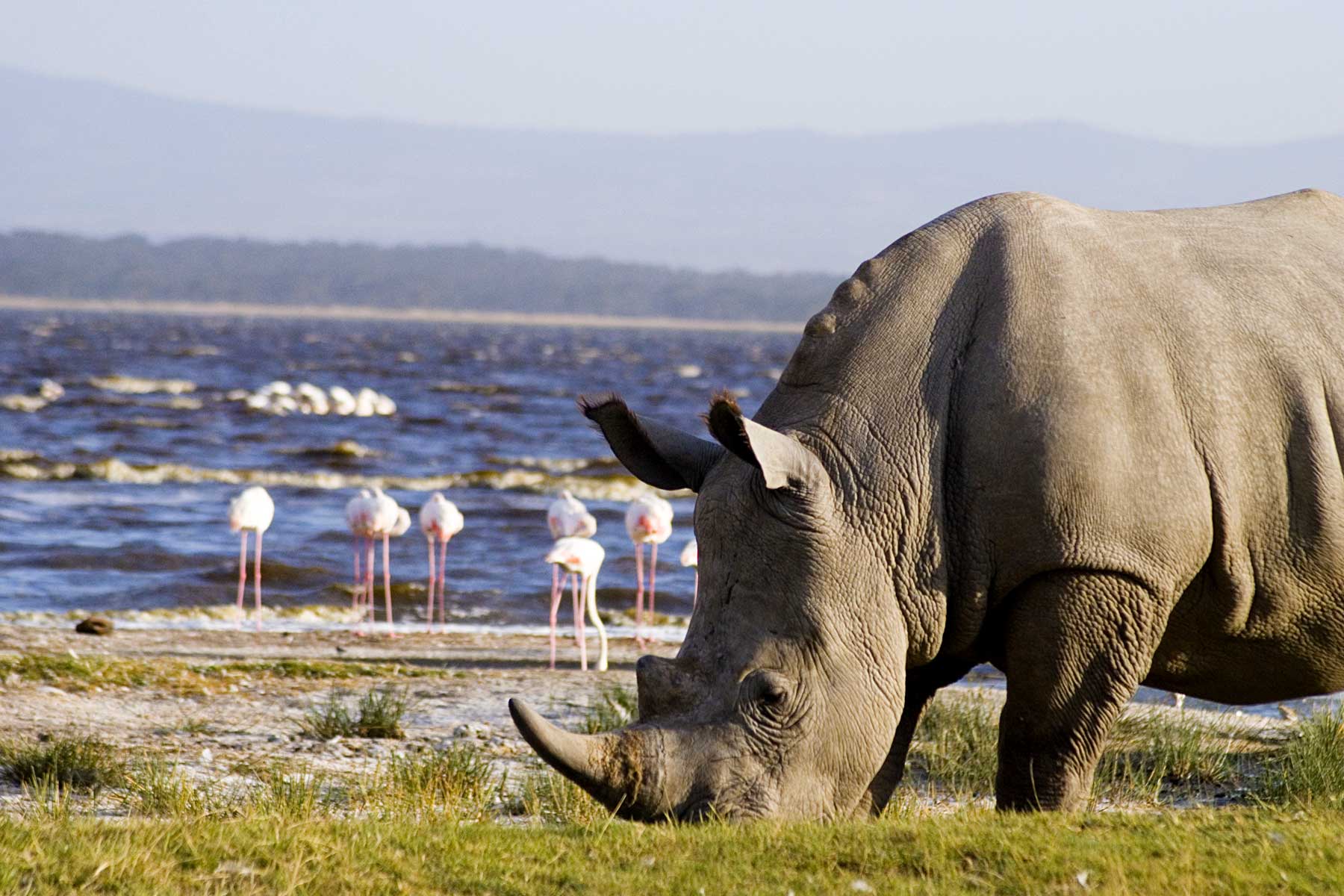 5-days-kenya-safari-holiday