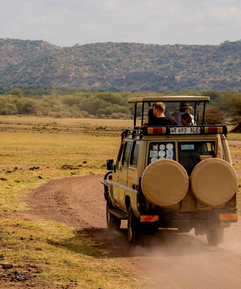 6-days-tanzania-northern-circuit-safari