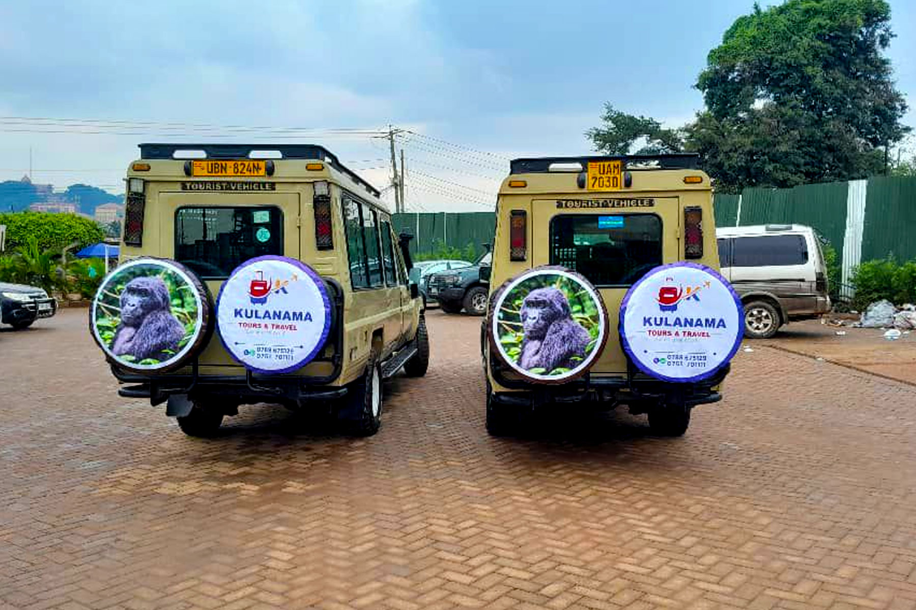 7-days-uganda-gorilla-trekking-tour