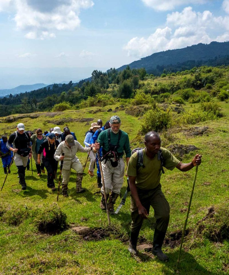 8-days-rwanda-gorilla-chimpanzee-safari